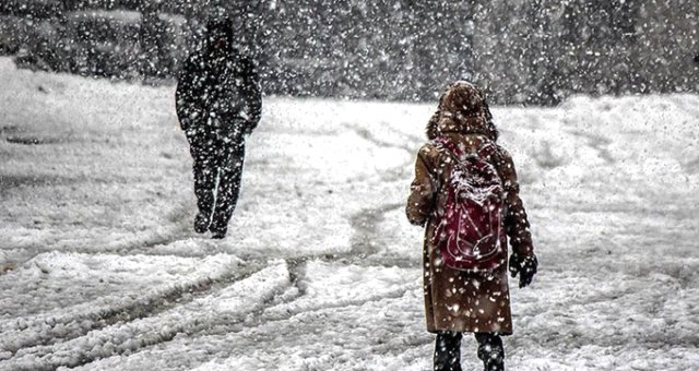 Ağrı ve Elazığ’da Eğitime Kar Engeli! Okullar 1 Gün Tatil Edildi