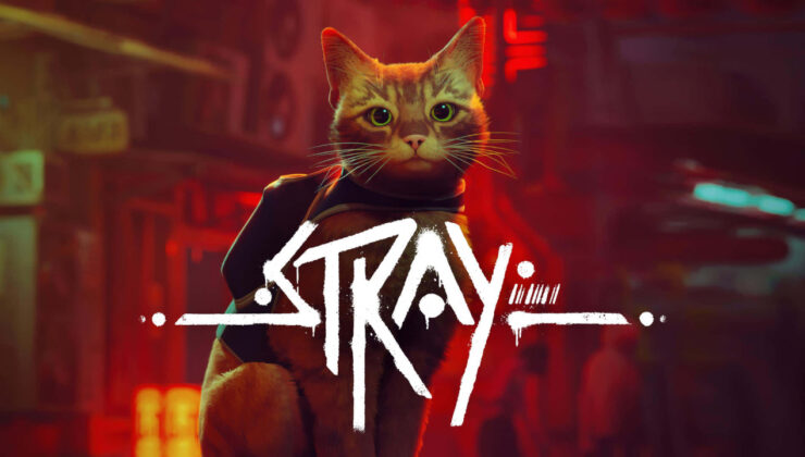 Stray, Kasım Ayında Switch’e Geliyor