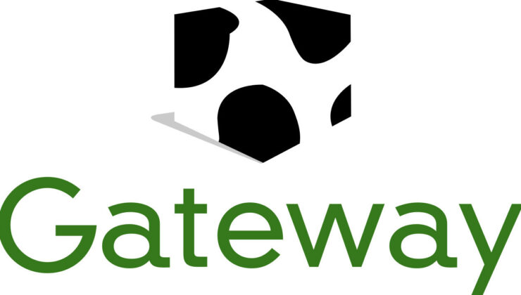 İnek desenli kutuların büyük düşüşü: PC devi Gateway neden kayboldu?
