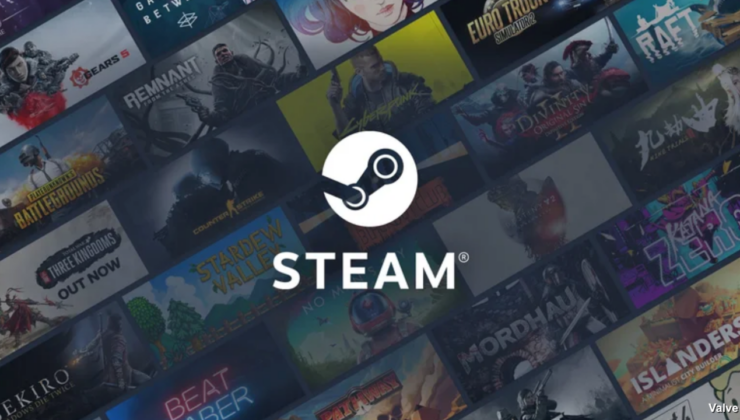 Steam için 220 milyon euroluk kriz: Oyun fiyatları mahkemelik oluyor